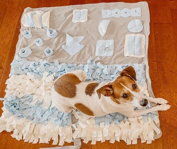 A reviewer's dog laying on the mat to show the ruffles, and other hidden pockets 