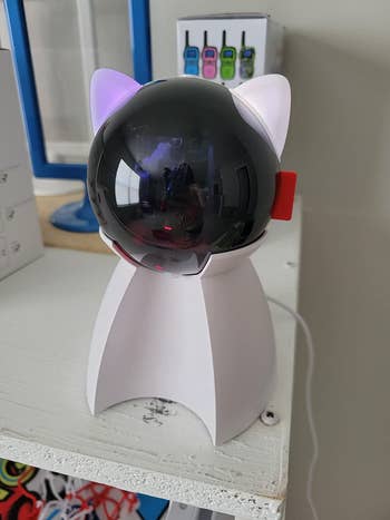 reviewer's cat laser toy