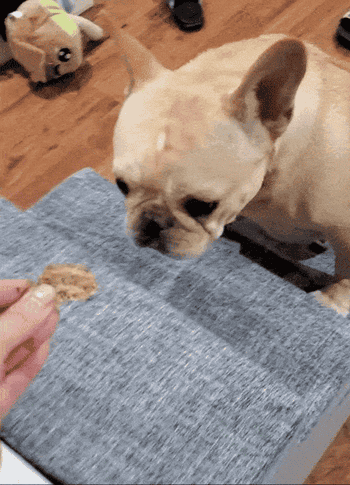 A reviewer gif of their dog going up the steps