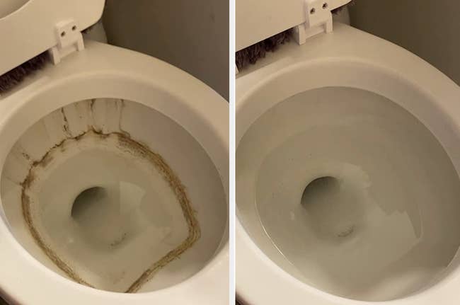 Inside reviewer's toilet with brown ring around the water / same toilet now clean