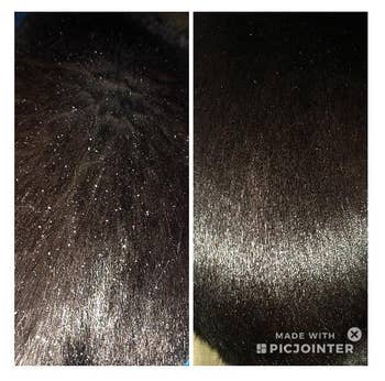 Reviewer before and after pic of their cat's dandruff when using the spray