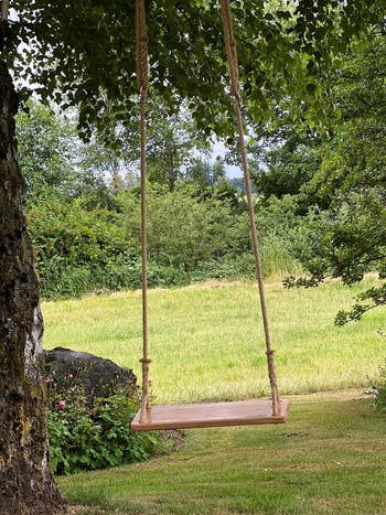 another reviewer's rope swing