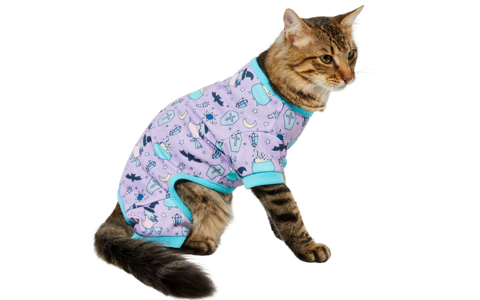 Cat in witch pajamas