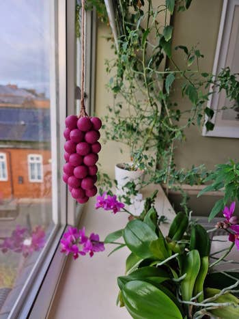 Bouquet of round, purple soap grapes hanging by a drawstring  adjacent   a windowsill 