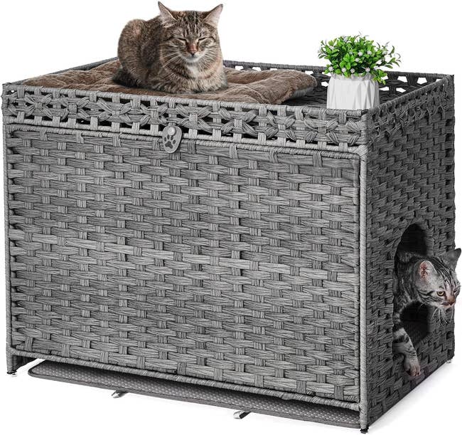 18 Best Hidden Cat Litter Box Furniture For 2024