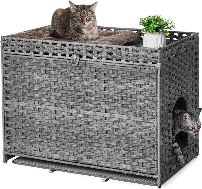gray multi-level hidden cat litter box
