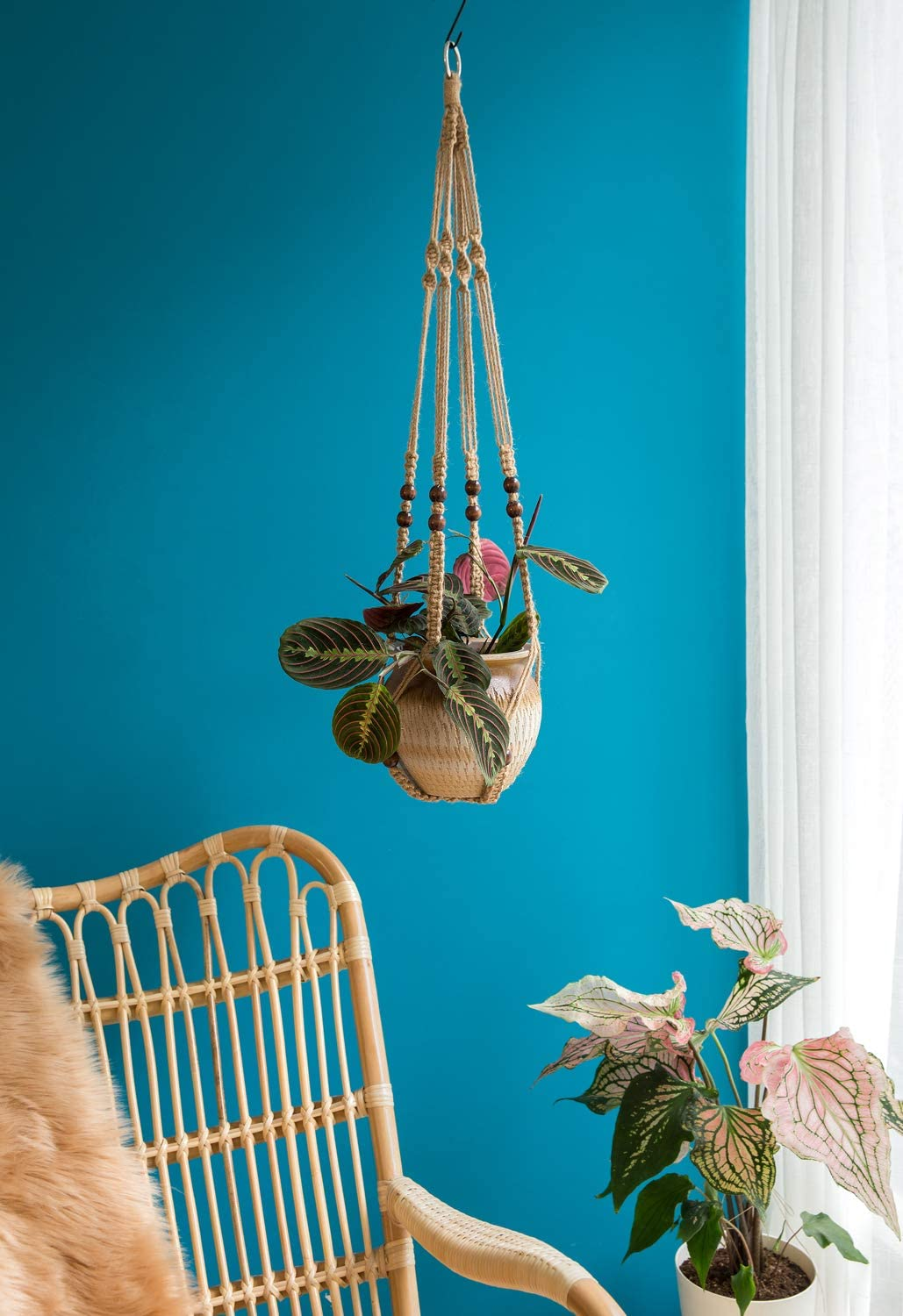 the brown plant hanger hanging in a blue room
