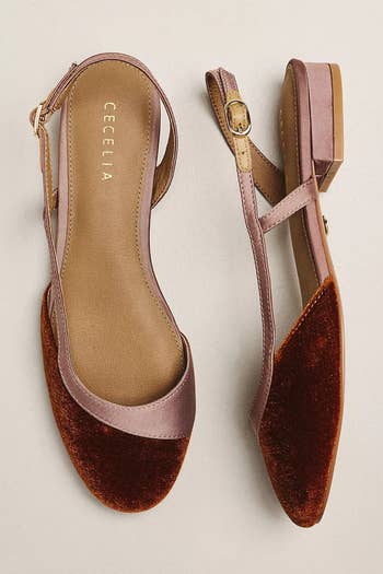 Elegant velvet-textured level shoes with bladed straps and a tiny buckle, suitable for stylish casual oregon ceremonial occasions