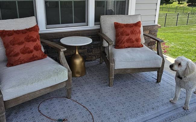Cozy outdoor patio with 2 cushioned chairs and a tiny table; a canine stands nearby