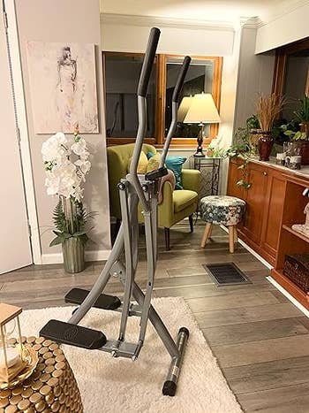 Elliptical instrumentality successful a cozy surviving room, surrounded by plants and decor