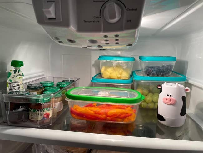 Refrigerator interior with organized containers of food and a cow-patterned milk jug
