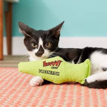 Cat lounging with a green catnip toy labeled
