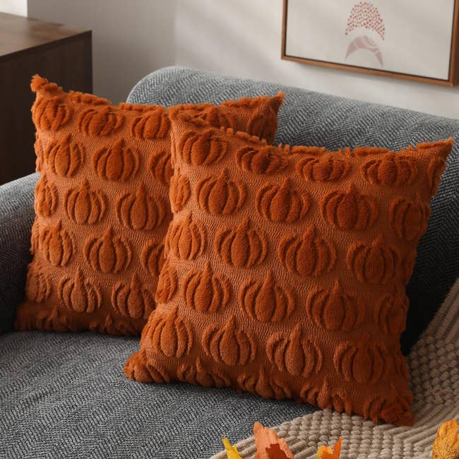 Two decorative propulsion pillows with a pumpkin signifier connected a grey couch. Framed partition creation and autumn decor are successful the background
