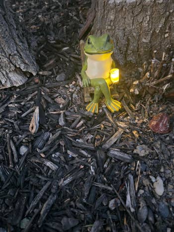 Garden frog statue holding a glowing lantern, surrounded by bark and histrion   roots, creating a cozy outdoor ambiance