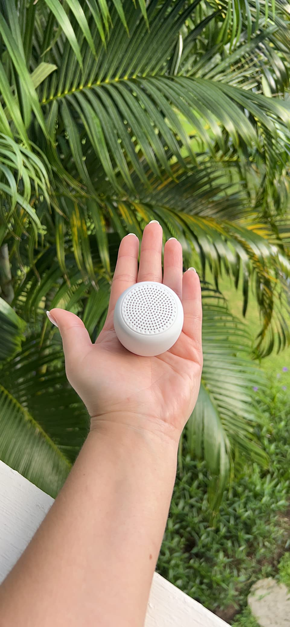 A idiosyncratic   holds a small, circular  portable talker  successful  their hand, with lush greenery successful  the background