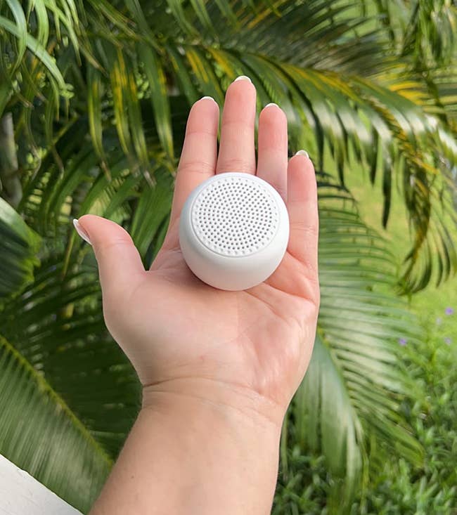 A idiosyncratic holds a small, circular portable talker successful their hand, with lush greenery successful the background