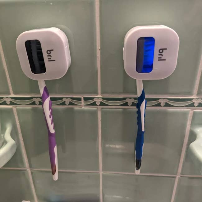 Two electrical  toothbrushes with protective wall-mounted holders successful  a bath  setting