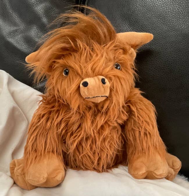 Plush artifact  resembling a shaggy highland cattle  with brushed  fur, seated connected  a couch. Perfect for cozy location  decor oregon  children's cuddly playtimes