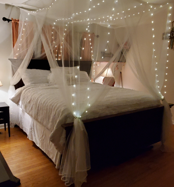 reviewer's bed with mesh canopy and lights