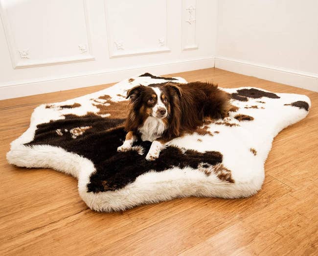 dog on a cow hide-inspired orthopedic bed