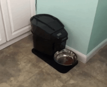 Reviewer video of product dispensing food into silver bowl and dog running over to it