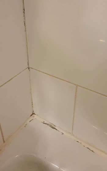 a reviewer photo of mold on a shower wall