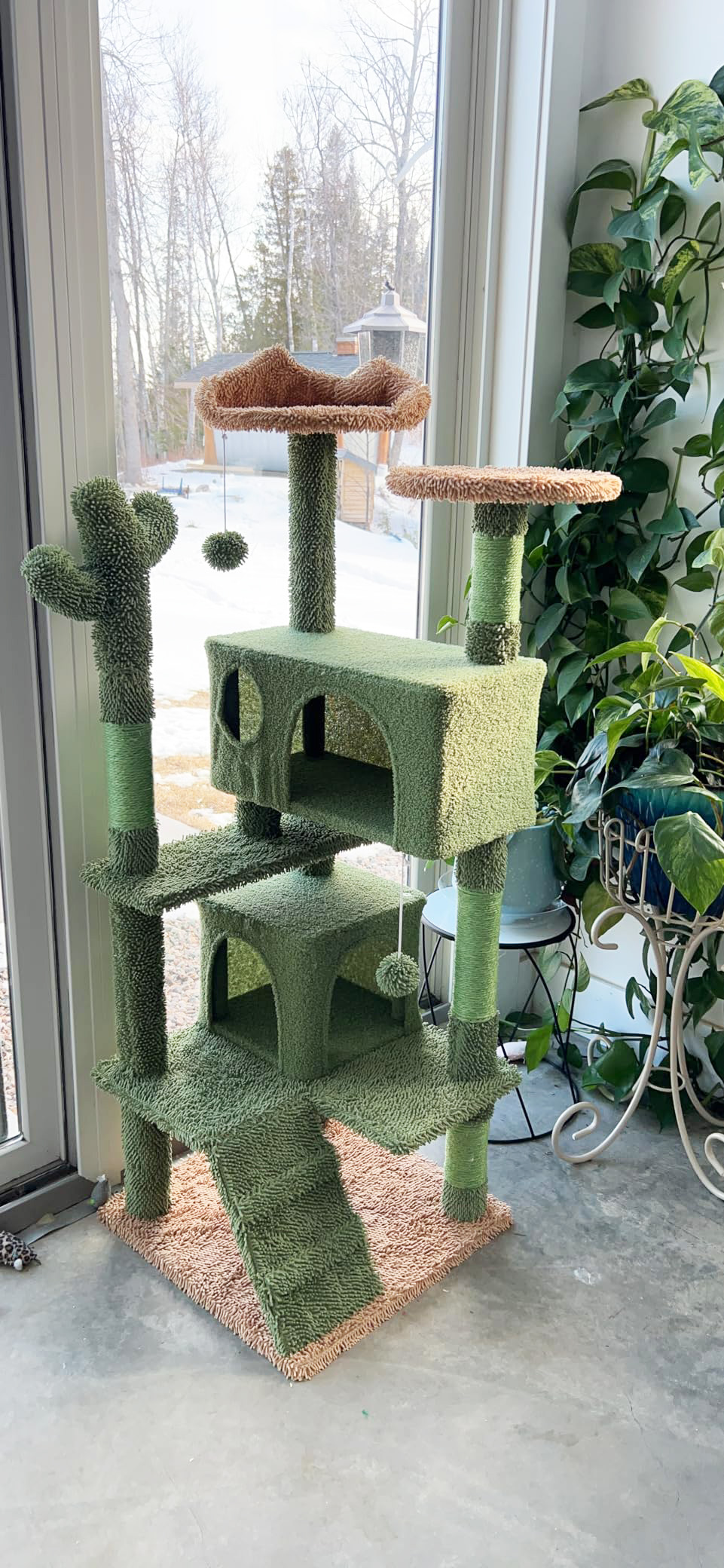 Indoor cat tree with multiple platforms and hideouts, placed near large windows surrounded by plants