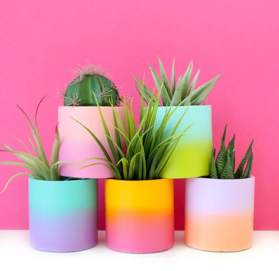 10 Cheap & Stylish Houseplant Pots 2023