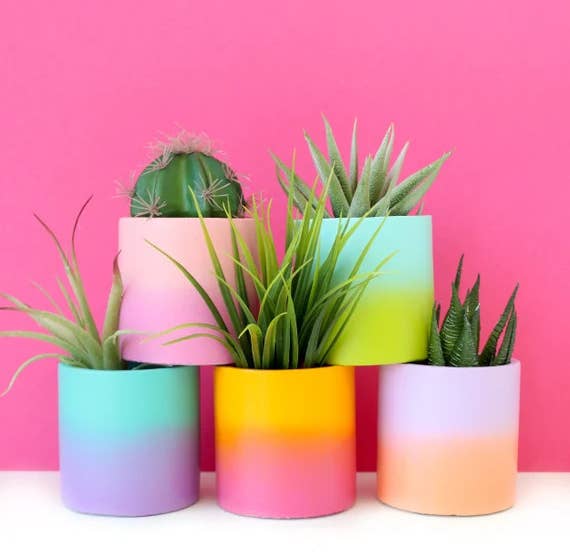 five planters with colorful ombre designs