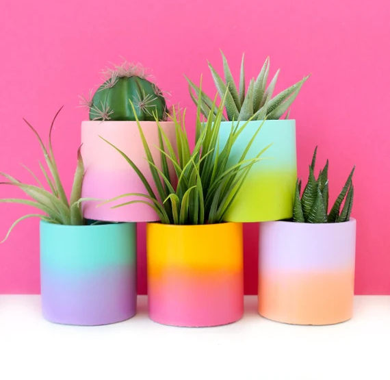 five planters with colorful ombre designs