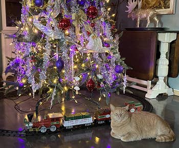 reviewer's cat next to the train, which is under a christmas tree