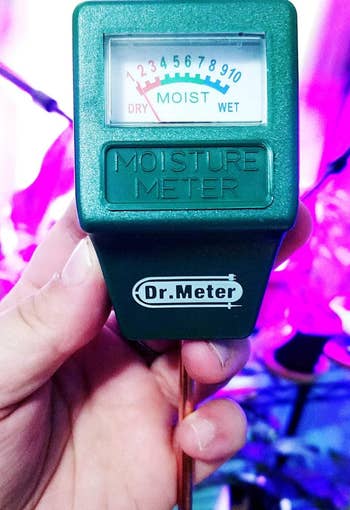 Reviewer holding a soil moisture meter