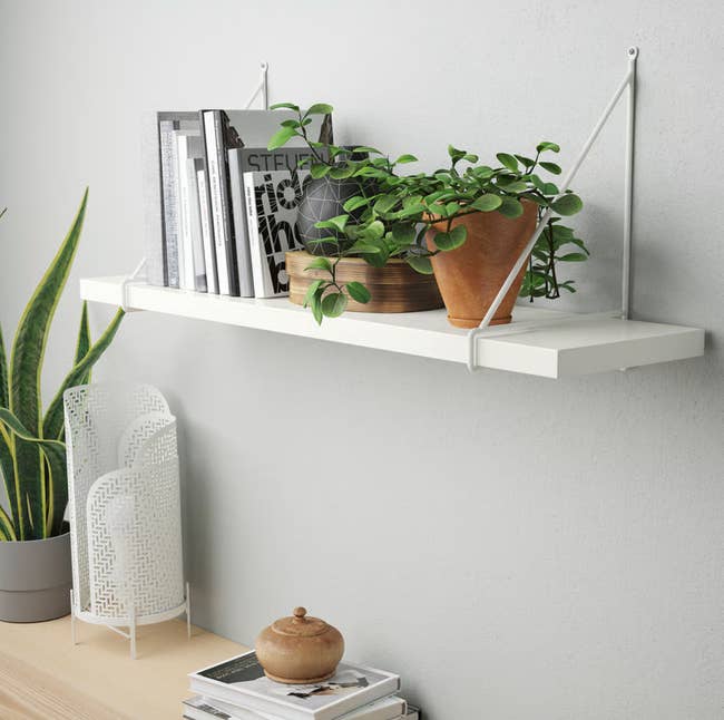 Wall-mounted support  with books and potted plants, including a fern. A decorative mesh handbasket  sits beneath  connected  a woody  desk. Ideal for location  decor