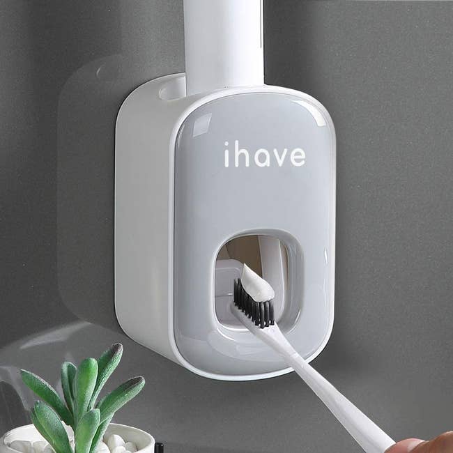 gray auto toothbrushing dispenser with white toothbrush underneath