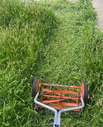 reviewer photo of the lawn mower trimming a path through a patch of long grass