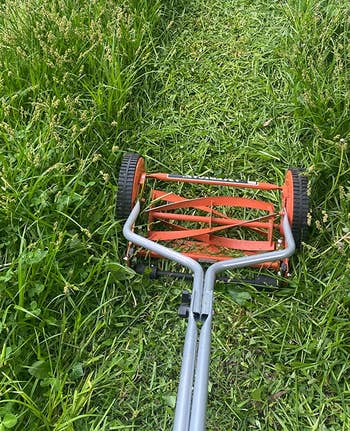 reviewer photo of the lawn mower trimming a path through a patch of long grass