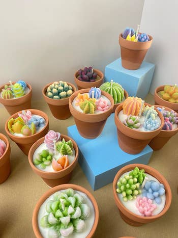 a bunch of succulent candles showing both designs of one giant succulent and multiple small succulents