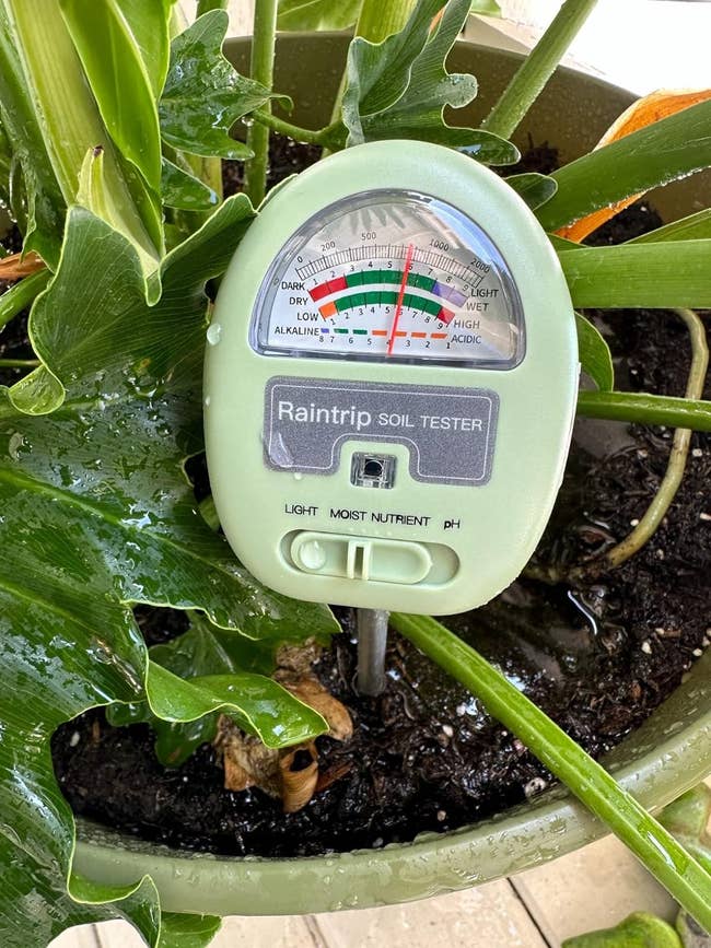 Soil meter inserted in potted plant displaying moisture, light, and pH levels