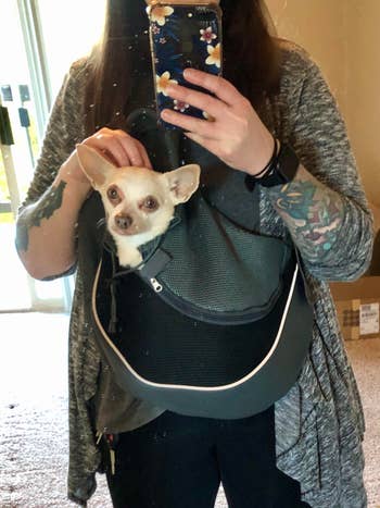 Dog owner with chihuahua sitting in sling carrier