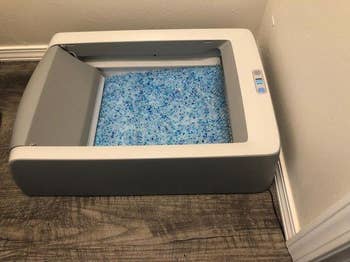 reviewer's uncovered litter box on display in corner