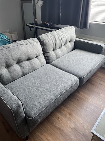 reviewer's gray couch