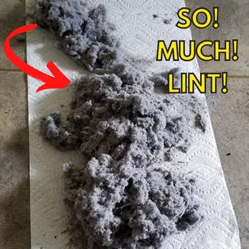 Reviewer pic of a pile of lint from their dryer