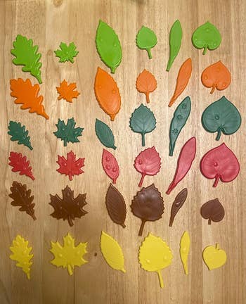 reviewer image of the different colored leaves