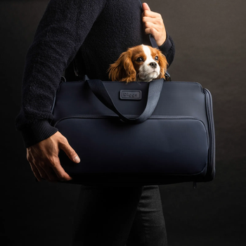 model carrying small dog inside the side shoulder carrier