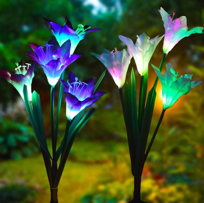 glowing floral bouquets in reviewer's backyard