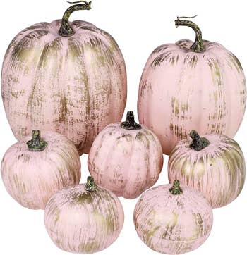 pink and gold pumpkins in varying sizes and shapes 