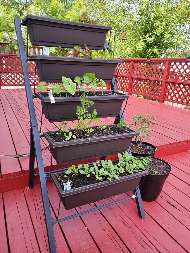 reviewer image of plants in each tier of the vertical garden bed