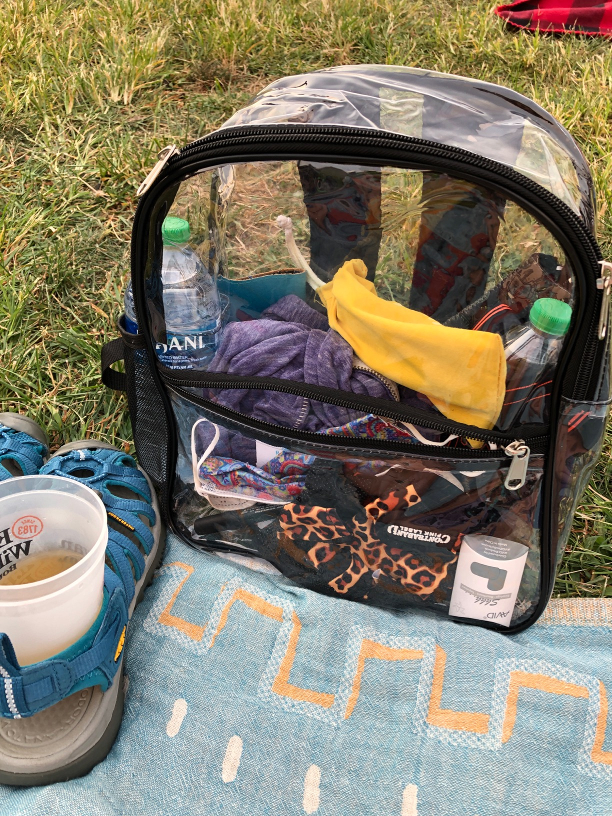 clear festival bag