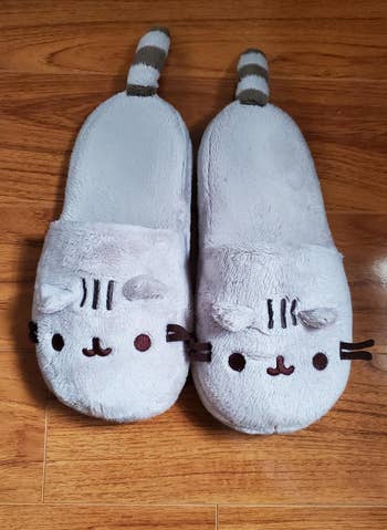 the cat slippers