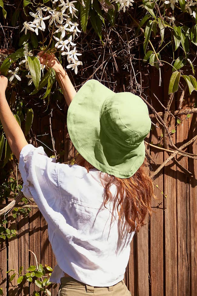 Person successful a wide-brimmed chapeau and achromatic garment adjusts flowers connected a vine-covered fence